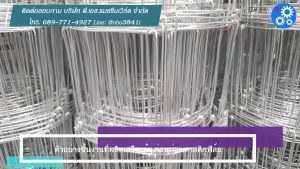 ลวดตาข่ายปม กว้าง 1.50 เมตร ยาว 30 เมตร ตาข่ายล้อมแพะ/แกะ/วัว ลวดตาข่ายเลี้ยงสัตว์