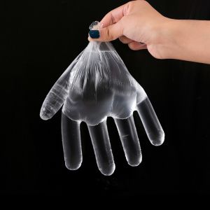 100 Pcs Thickened Disposable Transparent PE Plastic Gloves Beauty Restaurant Takeaway Food Gloves Kitchen Use One-Time Gloves