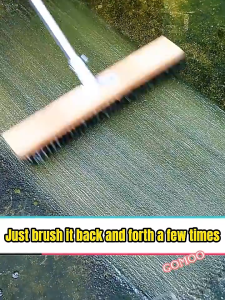 30CM Stainless Steel Wire Floor Scrub Brush With Wood Handle Stiff Bristle for Garden Moss Broom Mop