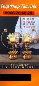 Đèn Thờ Đèn Ban Thờ Đèn LED Đèn Hoa Sen Đèn Ban Thờ Hoa Sen Cao Cấp Đèn Pha Lê Phật Pháp Siêu Tiết Kiệm Điện - Ánh Sáng Cực Đẹp Tăng Vẻ Sang Trọng Cho Không Gian Thờ Tự Tưởng Nhớ Tổ Tiên Kính Trọng Thần Phật - 1 Cặp