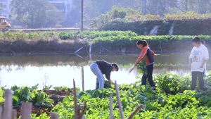 Ready✅ Electric Hand Shaping Machine Cassava Sweet Radish Potato Farming Shredding Cutting Household Slicer Mesin Cutter