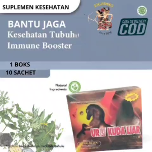 herbal ekstrak kunyit kapsul urat kuda liar asli berologram