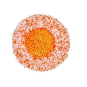 Sunflower Window Cleaning Mop Home Use High Rise Window Exterior Professional Domestic Cleaning Glass Dusting Tool