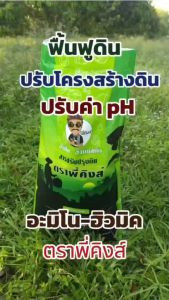 อะมิโน ฮิวมิค ตราพี่คิงส์