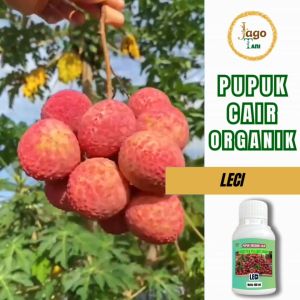 Pupuk Organik Cair Leci 100 Ml Hormon Pelebat Buah Dan Penyubur Tanaman By Jagotani Yogyakarta