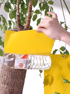 60PCS Perangkap Serangga Kuning Double Sided Sticky Insect Trap Pelekat Lalat Buah Kutu Tanaman Selamat