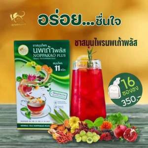 ชานพเก้า ชานพเก้าพลัส ชาสมุนไพร (เซต 5 กล่อง ราคา 1750.-)