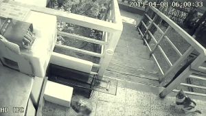 Full-Automatic Cat Trap cat trap catcher cat house cage Cage kulungan ng pusa Cat Scratching Cage Automatic Handy Tool Trap Catching Rescue Cage rat cage large animal trap cage