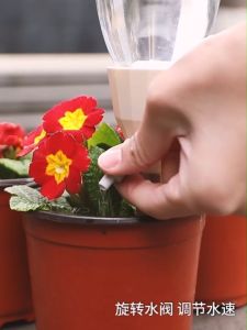 หัวน้ำหยด ที่รดน้ำต้นไม้อัตโนมัติ ใช้กับขวดหลายแบบ ป้องกันต้นไม้เฉาตาย