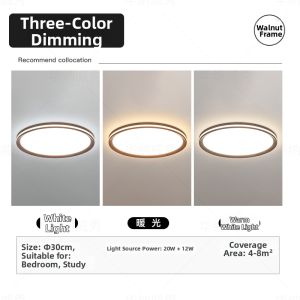 Ultra-Thin Minimalist Living Room and Bedroom Light