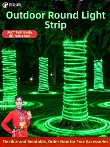 PAIMIJI | LED Color Lights Double-sided Circular Outdoor Waterproof Super Bright Landscape Garden Ambiance Lights