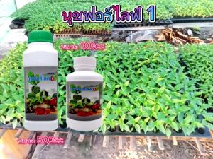 นุชฟอร์ไลฟ์ 1 /อาหารเสริมพืช ปลอดภัย ปุ๋ยน้ำ/สินค้าเกษตร