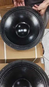 Live Pro 15 Inches 1000 Watts Authentic Original