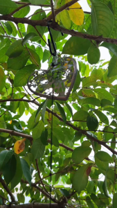 Chuông gió ống đồng phong thủy – Chuông gió trang trí cỡ lớn quà tặng sang trọng