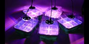 Seed Starter Tray Box With LED Grow Light Nursery Pot Seedling Germination Planter Adjustable Ventilation Humidity 6/12/13 Cell