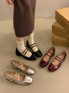 French Style Mary Janes Womens High Heels Spring 2025 Gentle Wind Thick Heel Shoes for Skirts Fashionable Slip-On Shoes