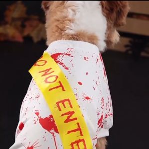 Scary & Cute Pet Halloween Clothes  Blood-Red Dress and Shirt for Dogs/Cats