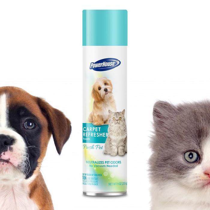 PowerHouse Carpet Refresher Foam Neutralizes Pet Odor 255g Lazada PH