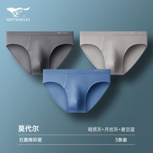 Septwolves Mens Ice Silk Briefs 2025 New Style Thin Modal Triangle Underwear Breathable Comfortable Summer Underpants