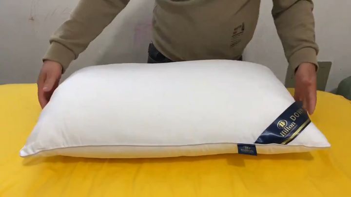 【BUY 1 TAKE 1 】Hilton Pillow Authentic Premium Hotel Memory Pillow Home ...