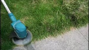 Wately 24VF Cordless Grass Cutter Trimmer 3 types Cutter Blades for Grass Branches Cutting 19 Steps 1.25 meter Extension