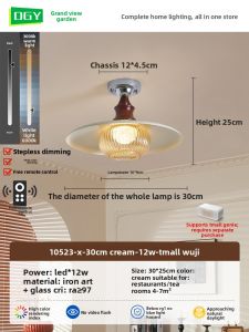 DGY | Retro Cream Creative Foyer Ceiling Light