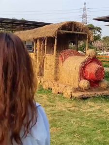 Short Sleeve Blouse For Women Chiffon Square Neck Doll Collar Loose Plus Size Top