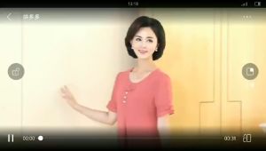 Chiffon Short Sleeve Tops Shirt for Womens Summer New Plus Size Loose Elegant Chiffon Shirt