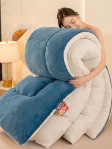 Thickened Coral Fleece Durable Washable Warm Winter Quilt Cotton Fill Single Person Suitable for Student Dormitory 10 Pounds