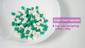 BASMI FIP™ Oral Capsules GS-441524 For Cats 2.5~4 kg Each Pack Contains 30 Oral Capsules