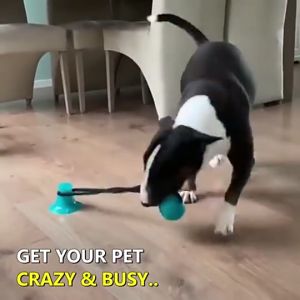 GAMITCO Smart Dog Suction Cup Dog Toy Self Playing Tug of War High Quality NON TOXIC Dog Toy