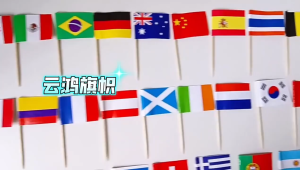 Malaysia Toothpick Flags Mini Small Malaysian Cupcake Toppers Stick Flags Banner Party Cocktail Fruit Pick