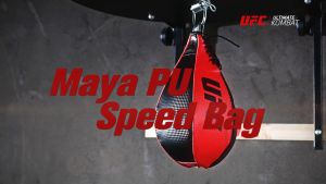 Ultimate Guide to UFC Boxing / MMA Speed Bag