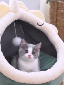 Cat Bed Washable Large Cat House 360° Semi-enclosed Bed Removable Warm Comfortable Pet Dog Bed Pet Sleeping Nest Kennel