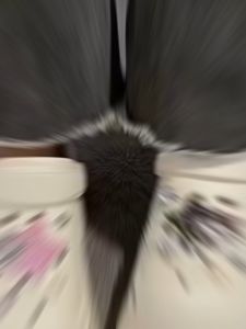 Sandal Baim Wanita: Pilihan Terbaik untuk Kenyamanan & Keindahan