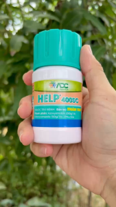 Thuốc Trừ Bệnh HELP®400SC – Phòng ngừa Thán Thư (Chai 100ml)