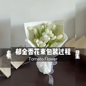 Honeycomb Paper Wrap Roll 10meter Kertas Bubble Wrap Pelindung Ramah Lingkungan 6296