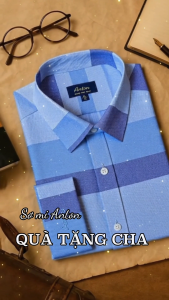 Áo Sơ Mi Nam Thương Hiệu Anton Dài Tay Công Sở Trung Niên Vải Cotton Họa Tiết Kẻ Caro Màu Xanh - Y8566