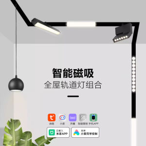 Smart Magnetic Track Lighting No Light Bulbs Living Room Integrated Mi Home App  Google Xiao Du Dimming Color Lighting