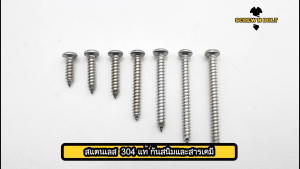 น็อต สกรู หัวกลม หัวแพน แฉก P+ สแตนเลส 304 เกลียวปล่อย ปลายแหลม 4 / Pan Head Phillip Tapping Screw SUS304 4