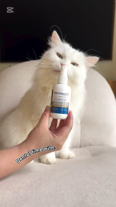 MicrocynAH Oral Care Spray for Dogs & Cats - control bad breath reduce plaque & tartar 3oz (100 ml)