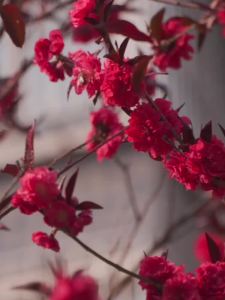 鼻炎贴过敏性鼻炎鼻窦炎儿童大人鼻塞通气鼻炎药洗鼻器鼻炎膏神器Rhinitis patch allergic rhinitis sinusitis children adults nasal congestion ventilation rhinitis medicine nasal irrigation device rhinitis ointment artifact