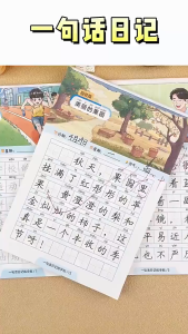 🔥2025新版练字帖🔥 一句话日记练字帖 练字本 学写字 看图写话 每日一句 写好日记 临摹控笔练字本 华文练字帖 作文练字帖 練字本 Chinese Writing Book Practice