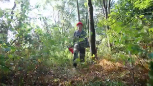 12 Inci Gergaji Kayu /999V Cordless Lithium Baterai Gergaji mesin chainsaws / tanpa kabel daya tinggi gergaji kayu gergaji kayu elektrik original 2 Baterai /Lithium Chainsaw Mesin Potong Kayu Portable Chain Saw