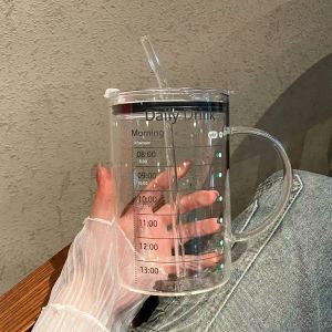 Trendy Large Capacity Boro-Silicate Glass Water Cup With Lid and Straw