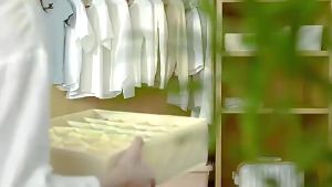 Box Storage Underwear 3In1 Box Pakaian Dalam Kaos Kaki Bra Kotak Organizer Penyimpanan Serbaguna