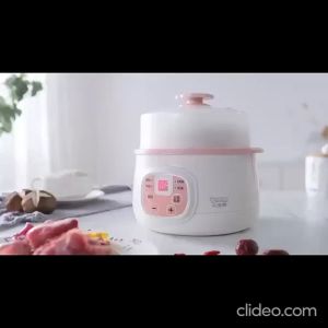 Little Raccoon Fully Automatic Double-Layer Ceramic Water-Proof Electric Stew Pot (0.8L)