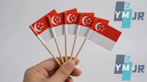 🚩Local Ready Stock NDP 61th Singapore Toothpick Flag National Day Snack Restaurant Party Decor Flag Badge Wholes