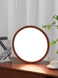DGY | Retro Mid-century Thin Ceiling Light R335