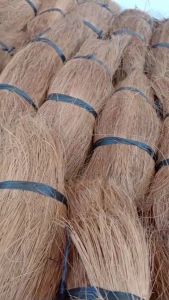 Cocobristle media tanam anggrek / serat sabut kelapa lurus